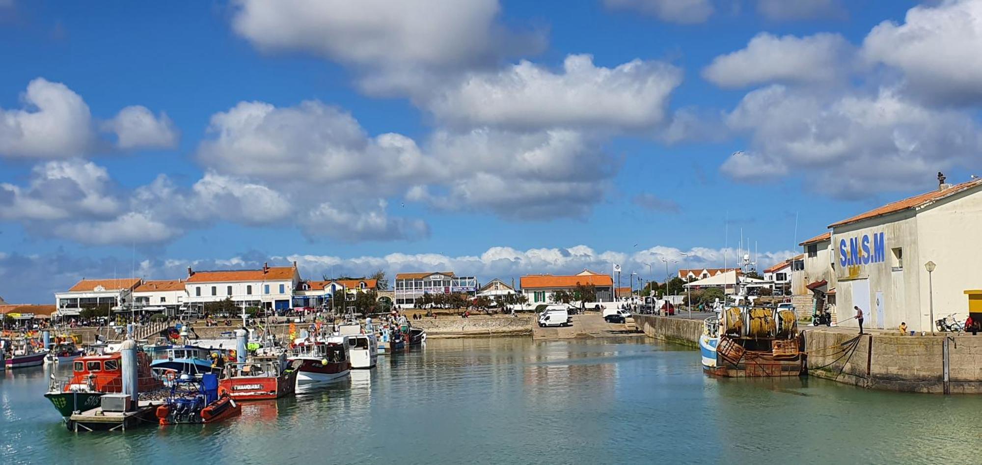 Maison 3 Etoiles , Proche Plages, Cotiniere, & St Pierre Holiday home